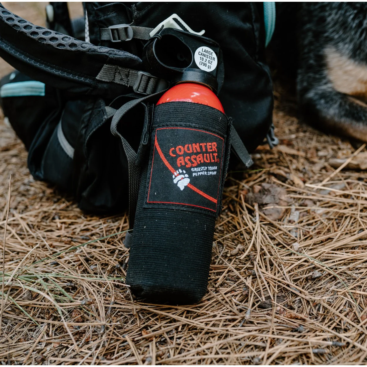 Bear Deterrent with Holster - Image 6